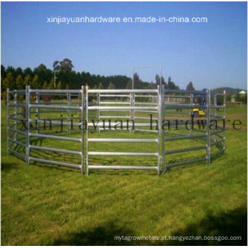 Galvanizado, pecuária, fazenda, cerca, portão, gado, ovelha, cavalo